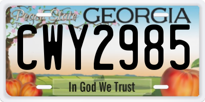 GA license plate CWY2985