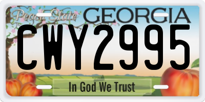 GA license plate CWY2995