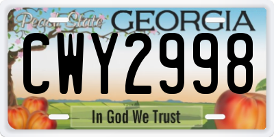 GA license plate CWY2998