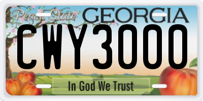 GA license plate CWY3000