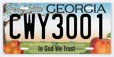 GA license plate CWY3001