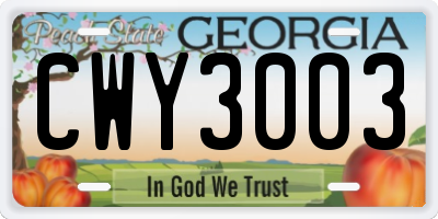 GA license plate CWY3003