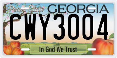 GA license plate CWY3004