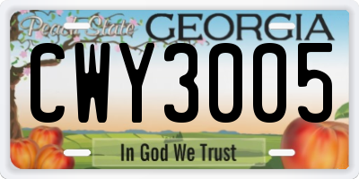 GA license plate CWY3005