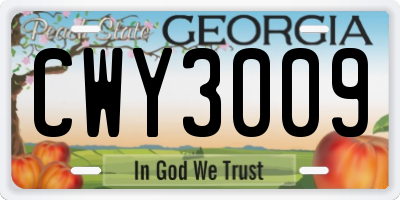 GA license plate CWY3009