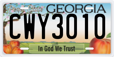 GA license plate CWY3010