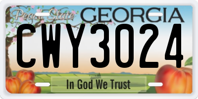 GA license plate CWY3024