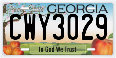 GA license plate CWY3029