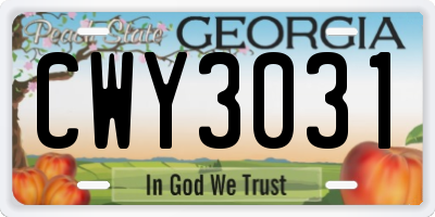 GA license plate CWY3031