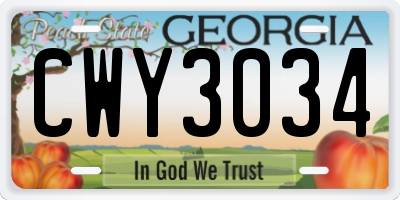 GA license plate CWY3034
