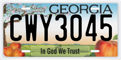 GA license plate CWY3045