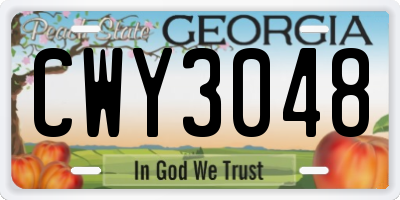 GA license plate CWY3048