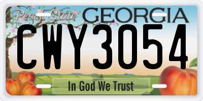 GA license plate CWY3054