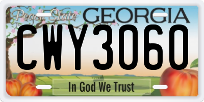 GA license plate CWY3060