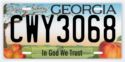 GA license plate CWY3068