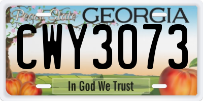 GA license plate CWY3073