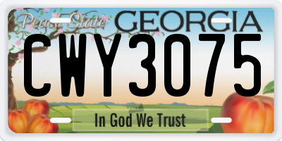 GA license plate CWY3075