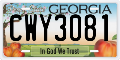 GA license plate CWY3081