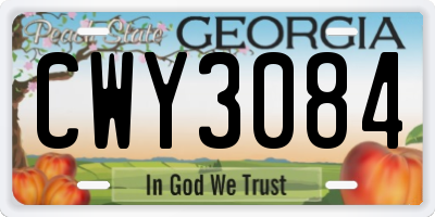 GA license plate CWY3084