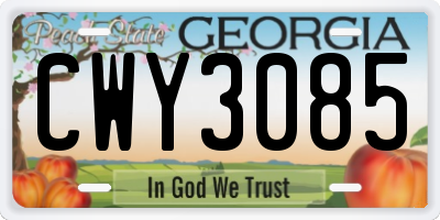 GA license plate CWY3085