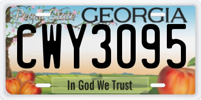GA license plate CWY3095