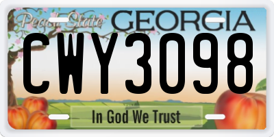GA license plate CWY3098