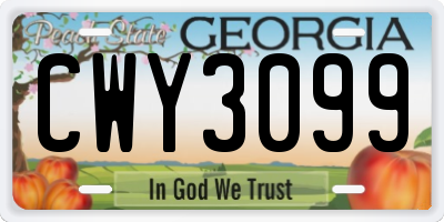 GA license plate CWY3099
