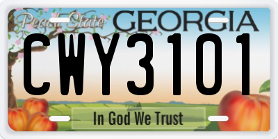 GA license plate CWY3101