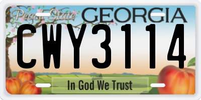 GA license plate CWY3114