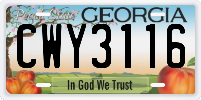 GA license plate CWY3116