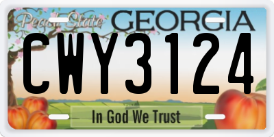 GA license plate CWY3124