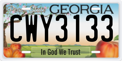 GA license plate CWY3133