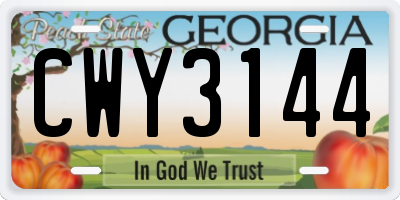 GA license plate CWY3144