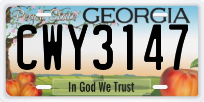 GA license plate CWY3147