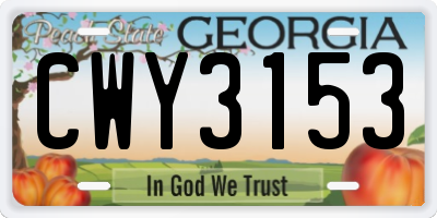 GA license plate CWY3153