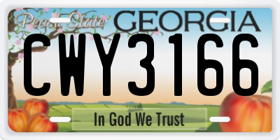 GA license plate CWY3166