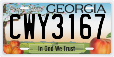 GA license plate CWY3167