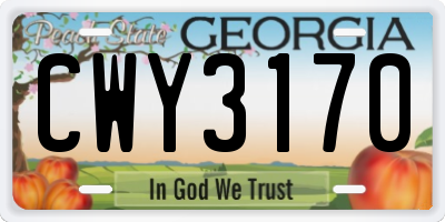 GA license plate CWY3170