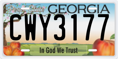 GA license plate CWY3177