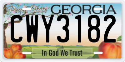 GA license plate CWY3182