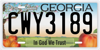 GA license plate CWY3189