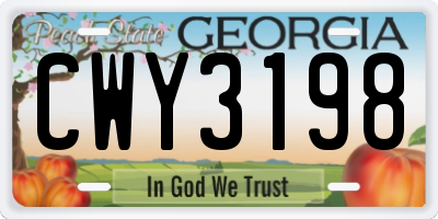 GA license plate CWY3198