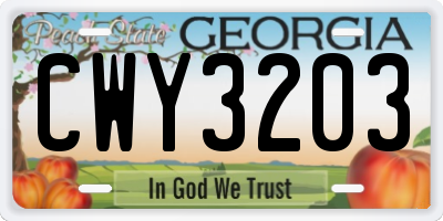 GA license plate CWY3203