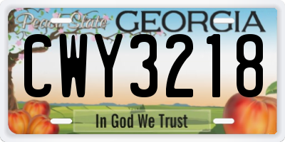 GA license plate CWY3218