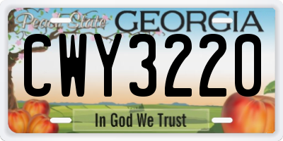 GA license plate CWY3220