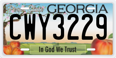 GA license plate CWY3229