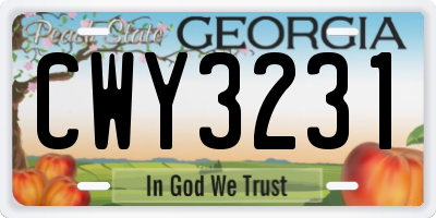 GA license plate CWY3231