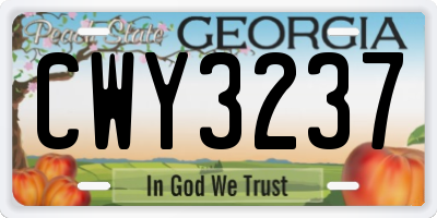GA license plate CWY3237