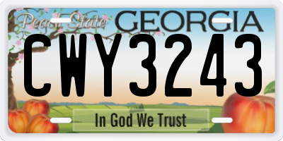 GA license plate CWY3243