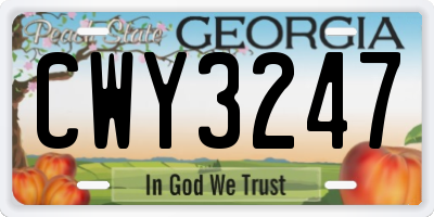 GA license plate CWY3247